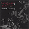 Sharon Shannon & the Woodchoppers - Live in Galway