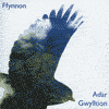 Ffynnon - Adar Gwylltion