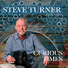 Steve Turner - Curious Times